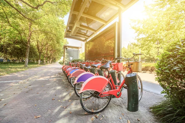 Row Bicycles Rent City — Stock Photo, Image