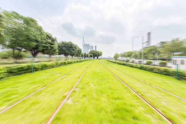 Ferrocarriles Junto Con Árboles Groenlandia —  Fotos de Stock