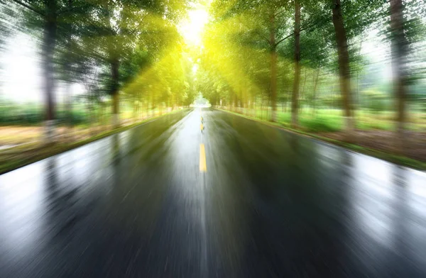 太陽の下で木の芝生とアスファルトの道路 — ストック写真