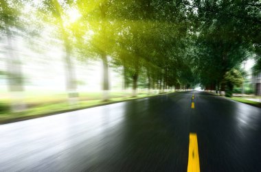 Asfalt yol, gün ışığı altında ağaç çimleri