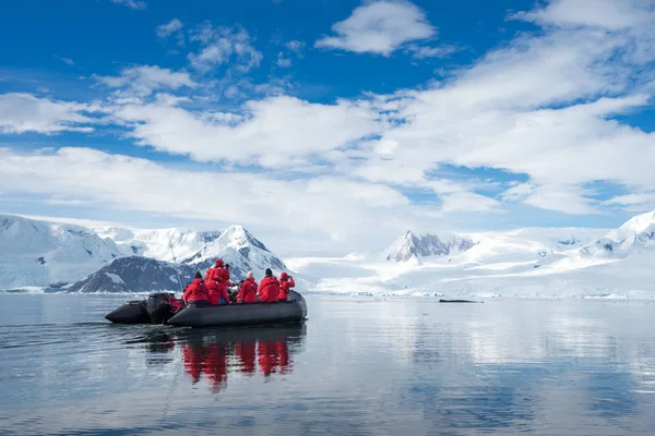 インフレータブル ボートいっぱい観光客 クジラやアザラシ 南極半島の南極大陸を見て — ストック写真