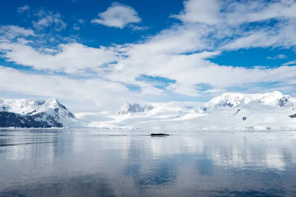 Beau Paysage Paysage Antarctique — Photo