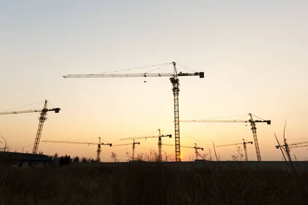 Grues Construction Sur Fond Coucher Soleil — Photo