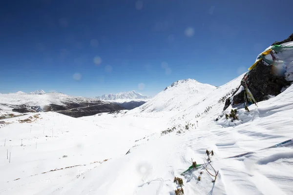 Landschaft Mit Schneebergen Und See Tibet — Stockfoto