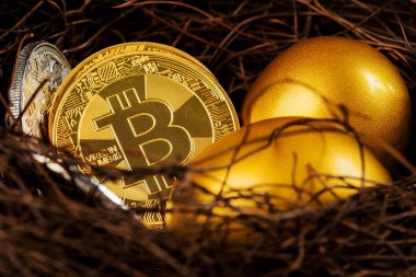 Bitcoin Şifreleme Dijital Bit Parası BTC Para Birimi Teknolojisi İnternet Konsepti.