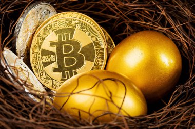 Bitcoin Şifreleme Dijital Bit Parası BTC Para Birimi Teknolojisi İnternet Konsepti.
