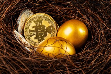 Bitcoin Şifreleme Dijital Bit Parası BTC Para Birimi Teknolojisi İnternet Konsepti.