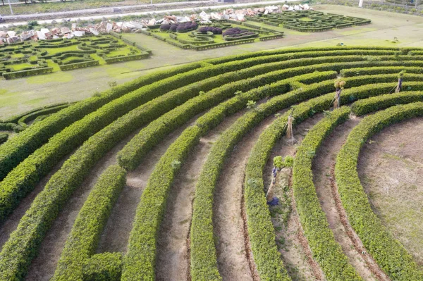 Vista Aerea Del Giardino Labirinto Verde — Foto Stock