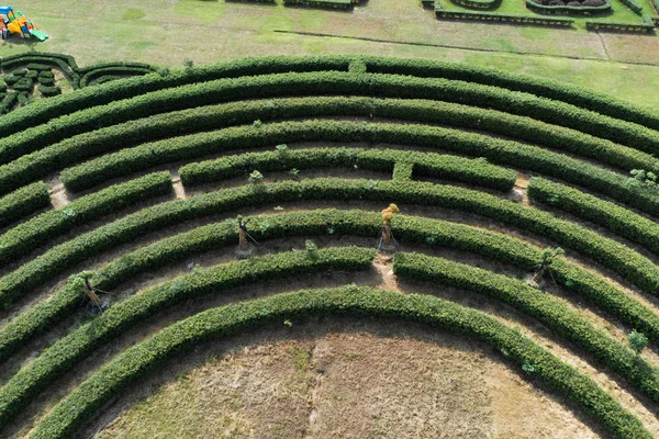 Aerial View Green Maze Garden — Stock Photo, Image