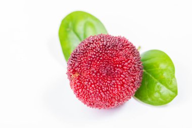 kırmızı ve olgun tatlı waxberry