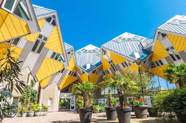 Prachtig Plein Binnen Gele Kubus Woningen Rotterdam Nederland — Stockfoto