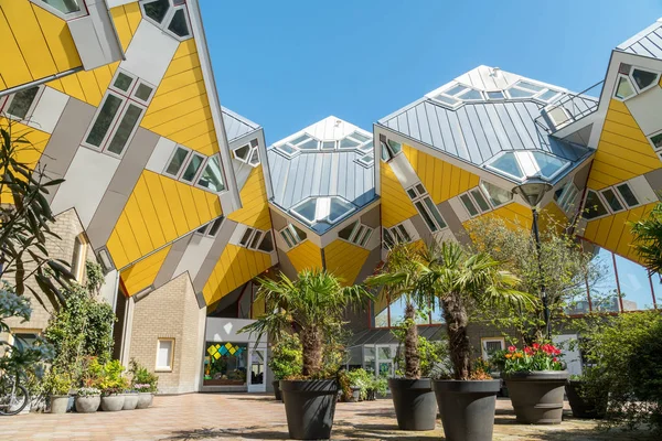 Čtvereček Uvnitř Žlutá Kostka Domy Rotterdamu Nizozemí — Stock fotografie