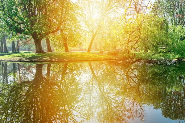 Luce Del Sole Bellissimo Parco Mattina — Foto Stock