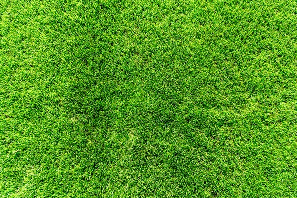 Top Van Gras Textuur — Stockfoto
