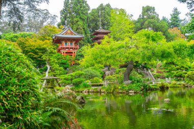 Golden Gate Parkı 'ndaki güzel Japon Çay Bahçesi.