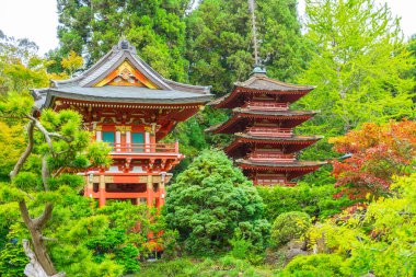 Golden Gate Park, San Francisco 'daki Japon Çay Bahçesi.