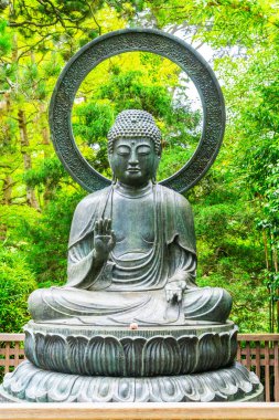 oturmuş lotus san francisco Japon bahçesi üzerinde Buda bronz.