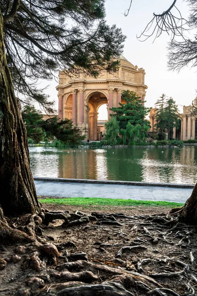 Veduta del Palazzo delle Belle Arti . — Foto Stock