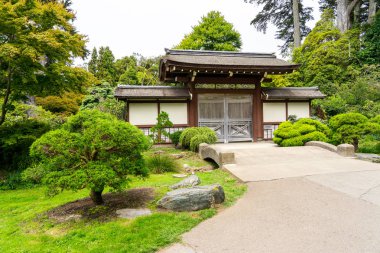 San Francisco, California 'daki güzel Japon bahçesi.