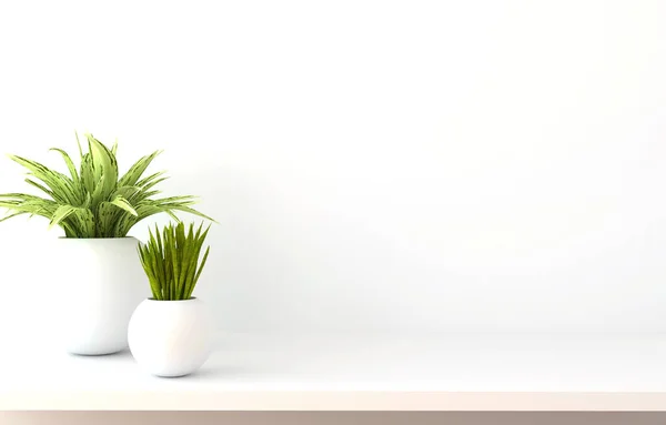 Regal Weißer Wand Mit Grünen Pflanzen Illustration — Stockfoto