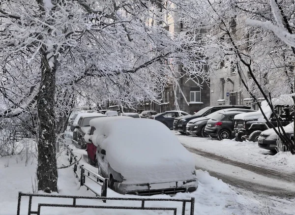 Winter in the city. Cars in the city yard.