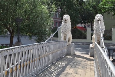 Aslan bridge uygulamasında morning.St. Petersburg.