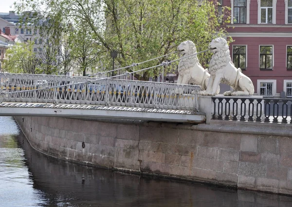 Morgon Vid Gribojedov Kanalen Lion Bridge Fyra Lions — Stockfoto