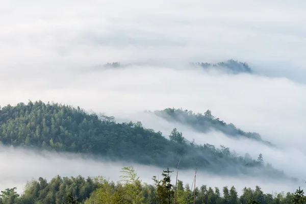 Berge Mit Wolken Nebel Bedeckt Schöne Ökologische Landschaft China — Stockfoto