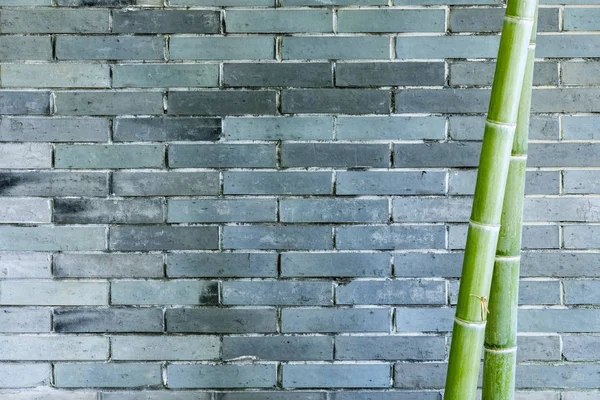 灰色砖墙与竹子 东方禅宗背景 — 图库照片