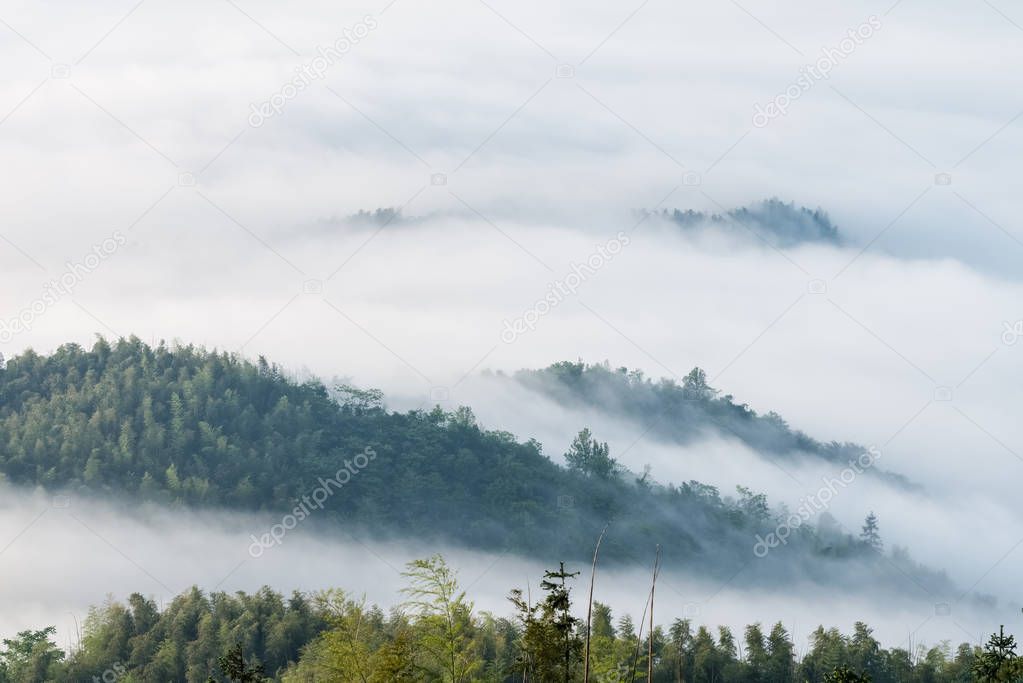 mountains covered with clouds fog,beautiful ecological landscape,  China