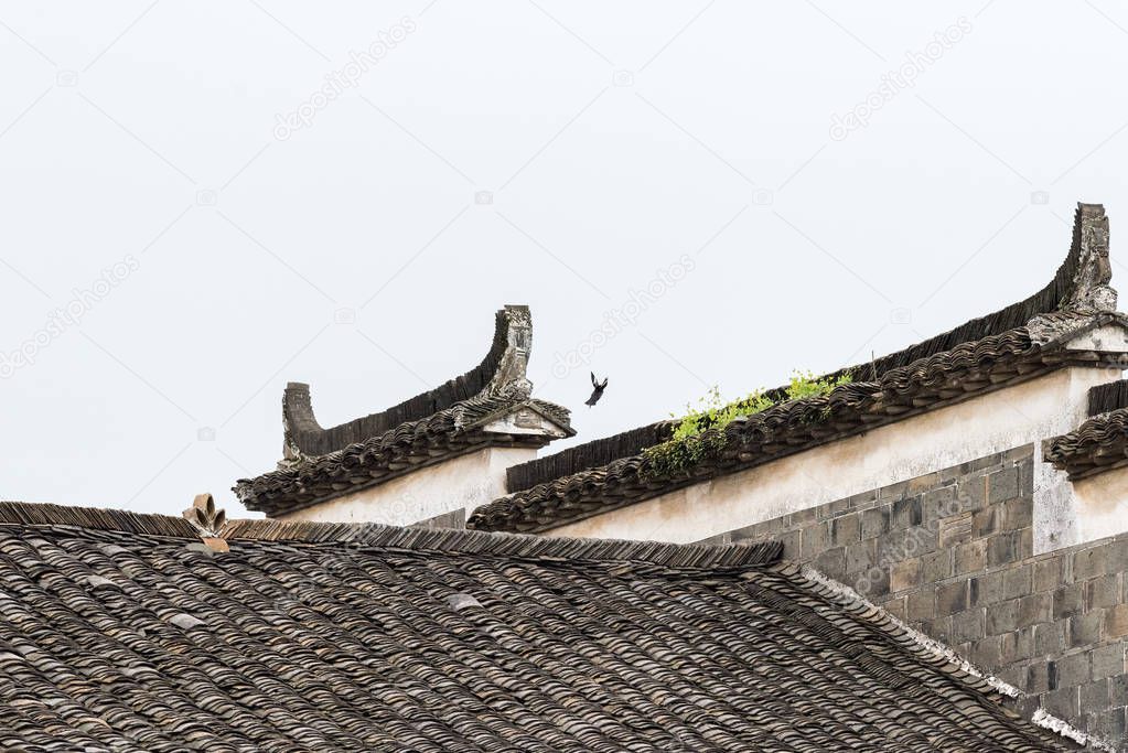chinese traditional roof of ancient building
