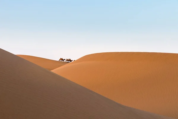 夕暮れ 遠くからラクダと美しい砂丘で砂漠の風景 — ストック写真