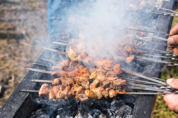 Lamb Kebabs Shish Kebab Skewers Roast Mutton Cubes Skewer Outdoor — Stock Photo, Image