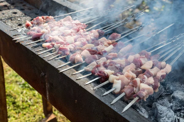 Roast Lamb Kebabs Charcoal Fire Had Just Been Ignited — Stock Photo, Image