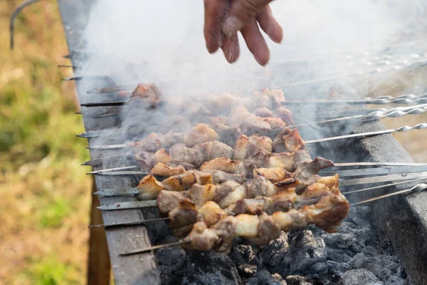 Xinjiang Roast Lamb Kebabs Sprinkle Salt Outdoor Barbecue — Stock Photo, Image