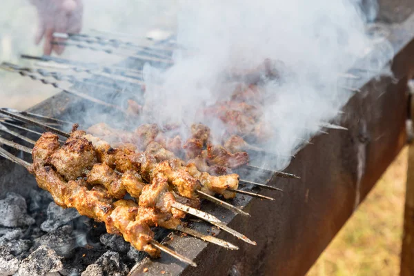 Delicious Food Xinjiang Roast Lamb Kebabs Outdoor Barbecue — Stock Photo, Image
