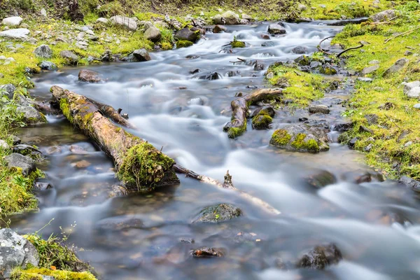 溪水特写镜头在森林里 美丽的自然风光 — 图库照片
