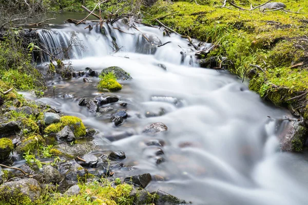 Ruisseau Gros Plan Dans Vallée Tir Obturateur Lent — Photo