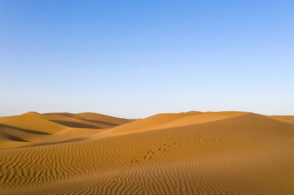 Beau Désert Coucher Soleil Empreinte Sol Sur Les Dunes Sable — Photo