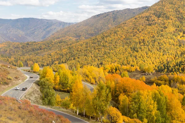 Xinjiang Kanas Landschap Herfst Bos — Stockfoto