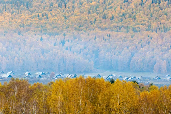 Schöne Dörfer Wald Herbst Xinjiang China — Stockfoto