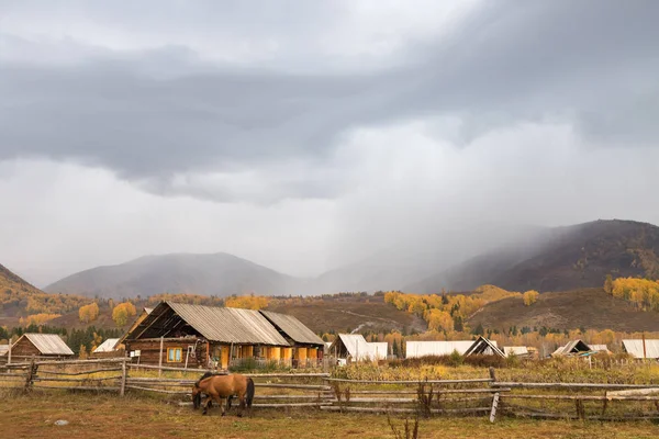 Hemu Villaggio Paesaggio Casetta Legno Autunno Scena Pastorale Pacifica Xinjiang — Foto Stock