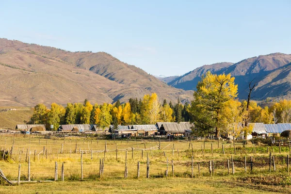 Mooie Primitieve Dorpen Herfst Ochtend Baihaba Dorp Altaj Regio China — Stockfoto
