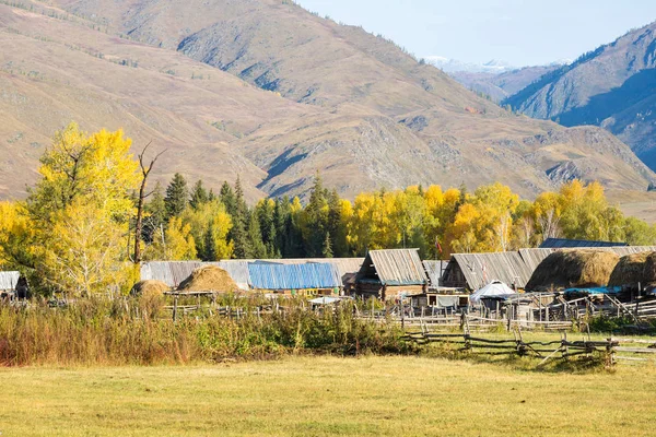 Bellissimi Villaggi Primitivi Mattina Autunno Villaggio Baihaba Zona Panoramica Kanas — Foto Stock