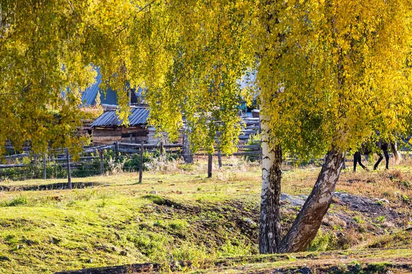 Schöner Herbst Den Dörfern Von Xinjiang Baihaba China — Stockfoto