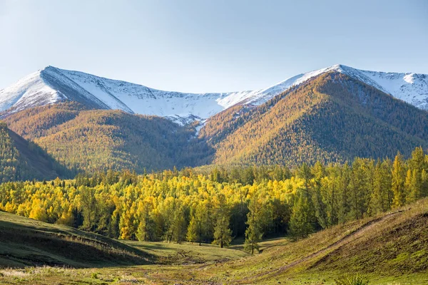 Vackra Hösten Xinjiang Baihaba Byar Kina — Stockfoto