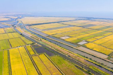 paddy alan ve sonbahar gölde havadan görünümü