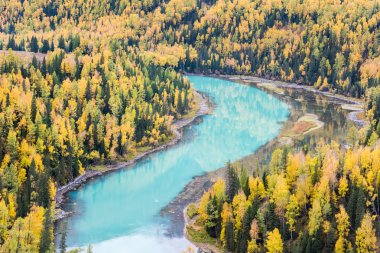 sonbaharda, Çin xinjiang kanas koyunda güzel ay