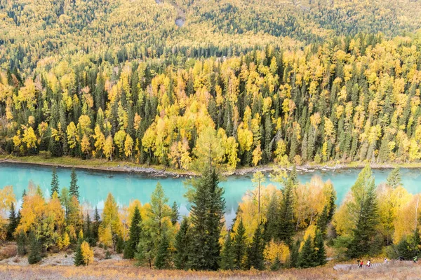 Kanas Höstlandskap Färgglada Skog Och Vacker Flod Xinjiang — Stockfoto