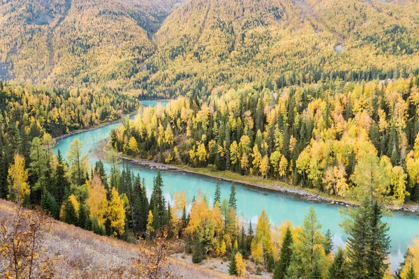 Piękny Xinjiang Kanas Jesień Krajobraz Chiny — Zdjęcie stockowe